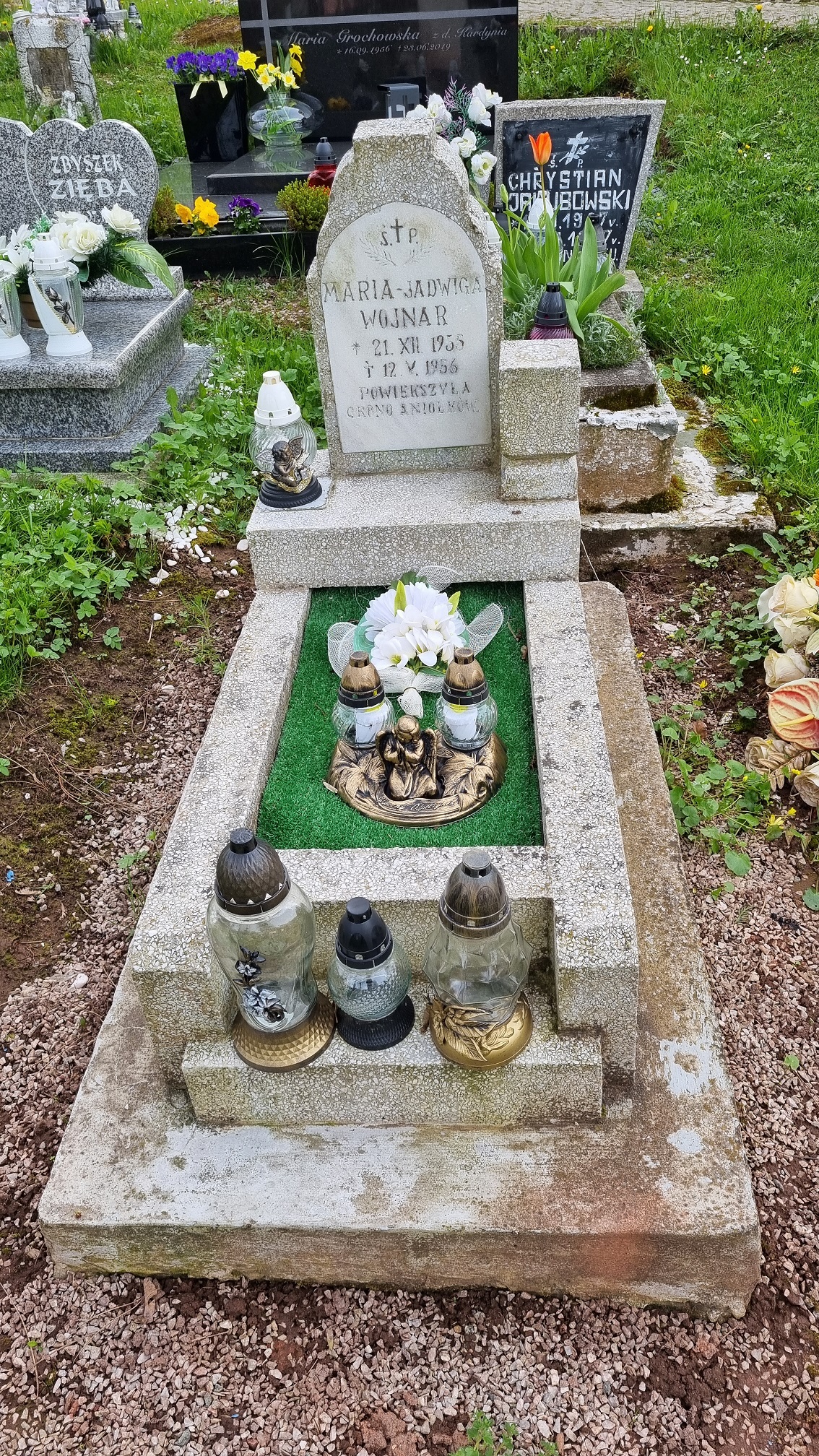 Maria Wojnar 1955 Ludwikowice - Grobonet - Wyszukiwarka osób pochowanych