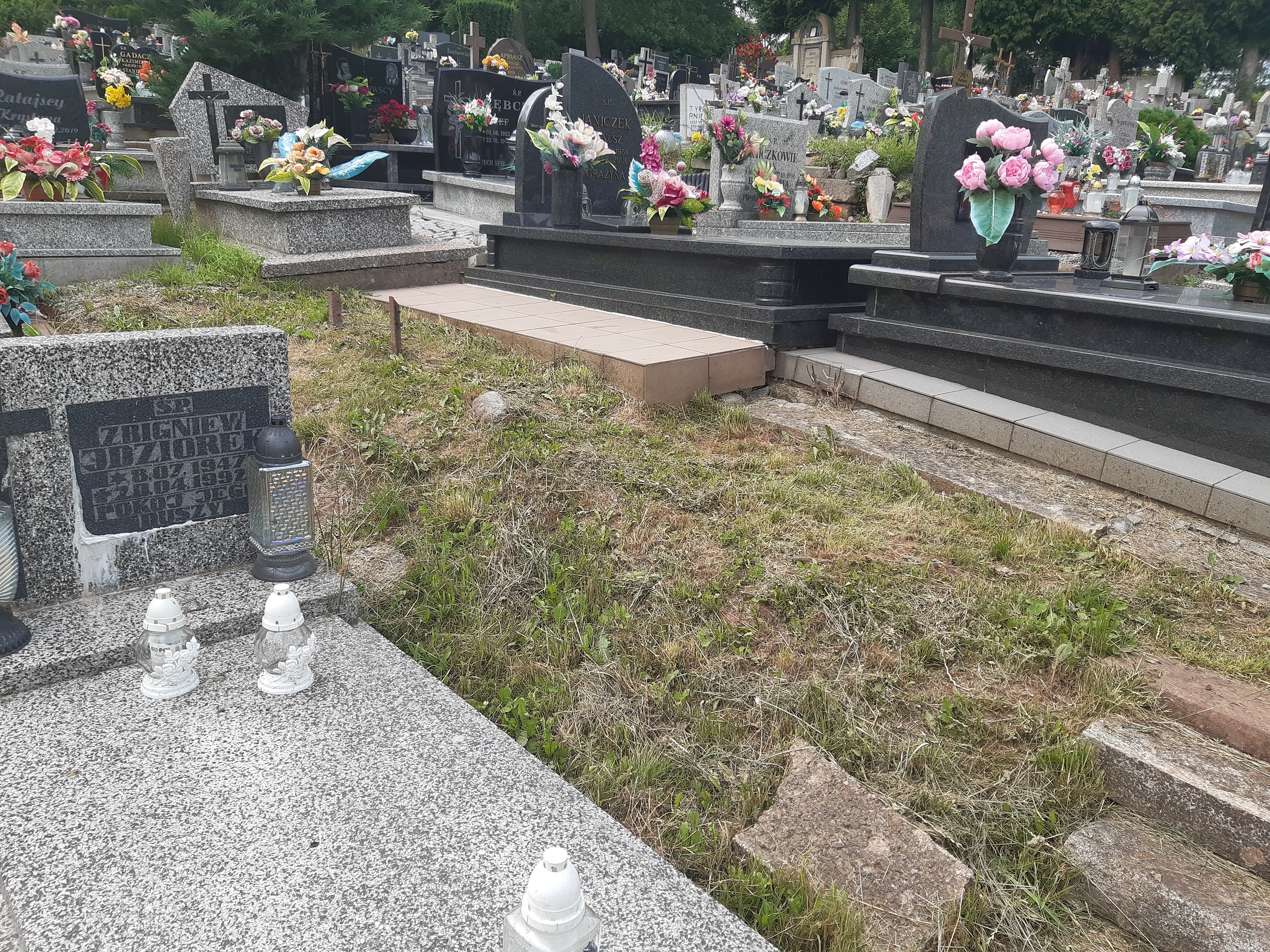  Wolne miejsce Ludwikowice - Grobonet - Wyszukiwarka osób pochowanych