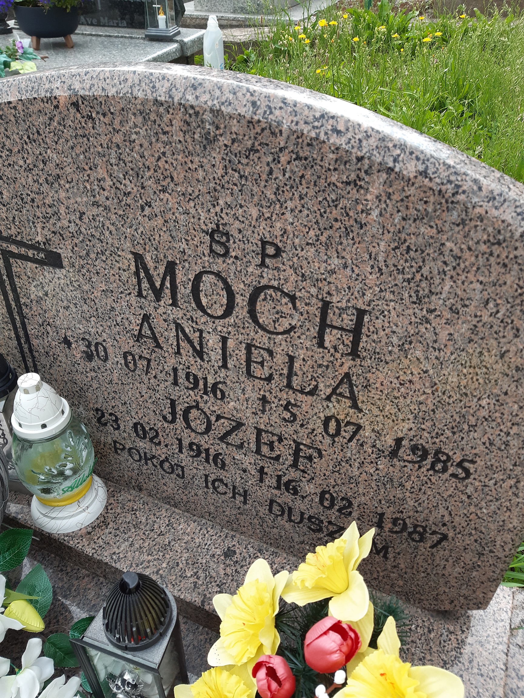 Grób Aniela Moch