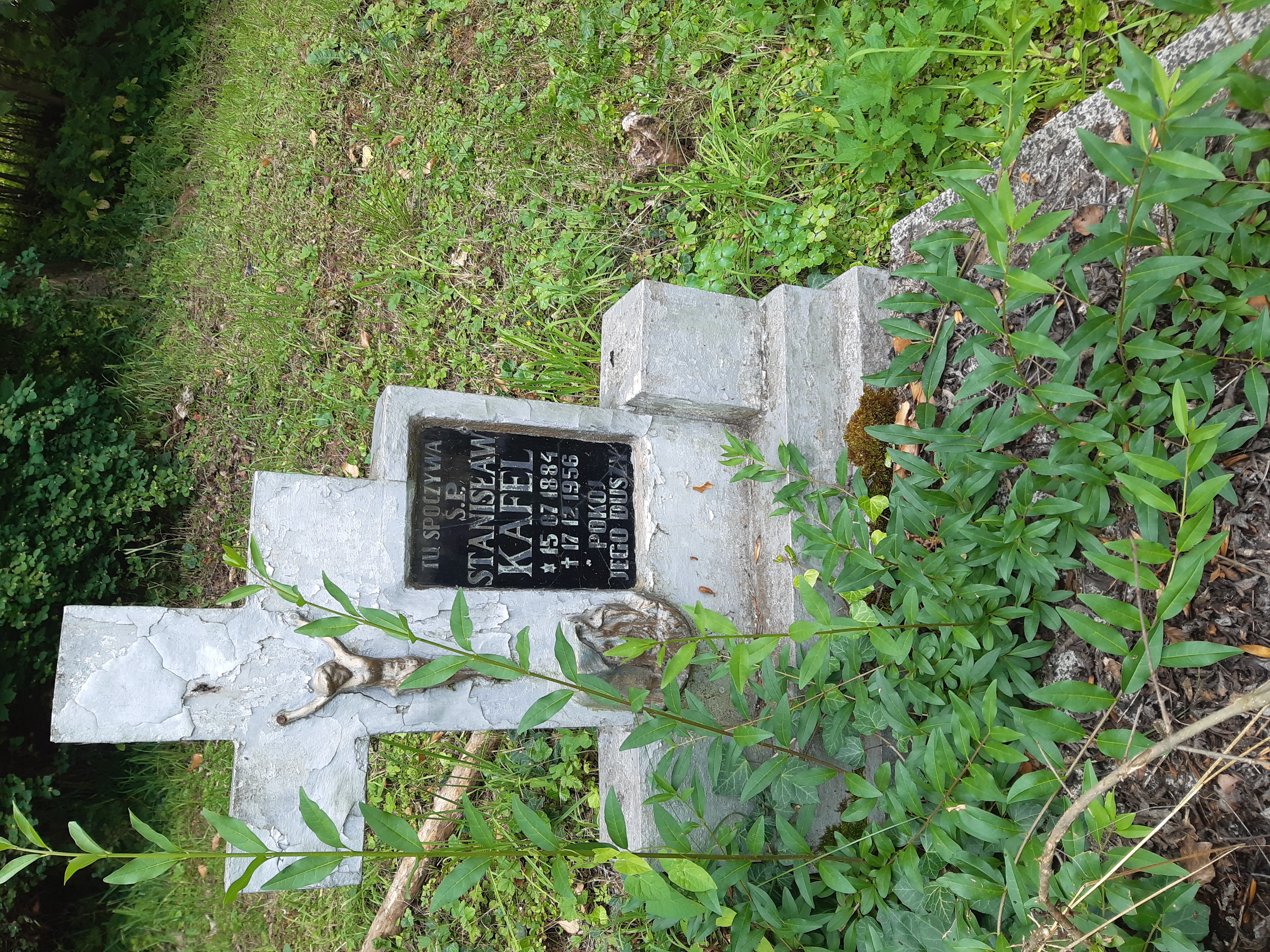 Stanisław Kafel 1884 Ludwikowice - Grobonet - Wyszukiwarka osób pochowanych